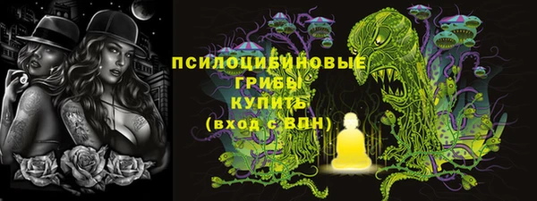 тгк Беломорск