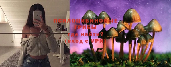 бошки Белокуриха