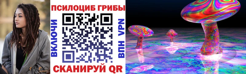 Купить где  Белокуриха  Псилоцибиновые грибы Cubensis 